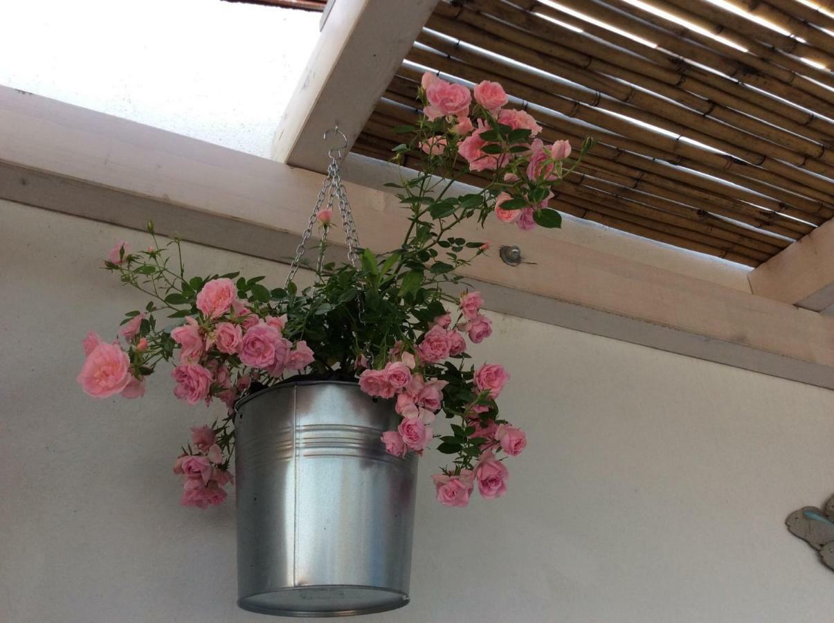 ソルソ 4 In Piazza Bed & Breakfast エクステリア 写真